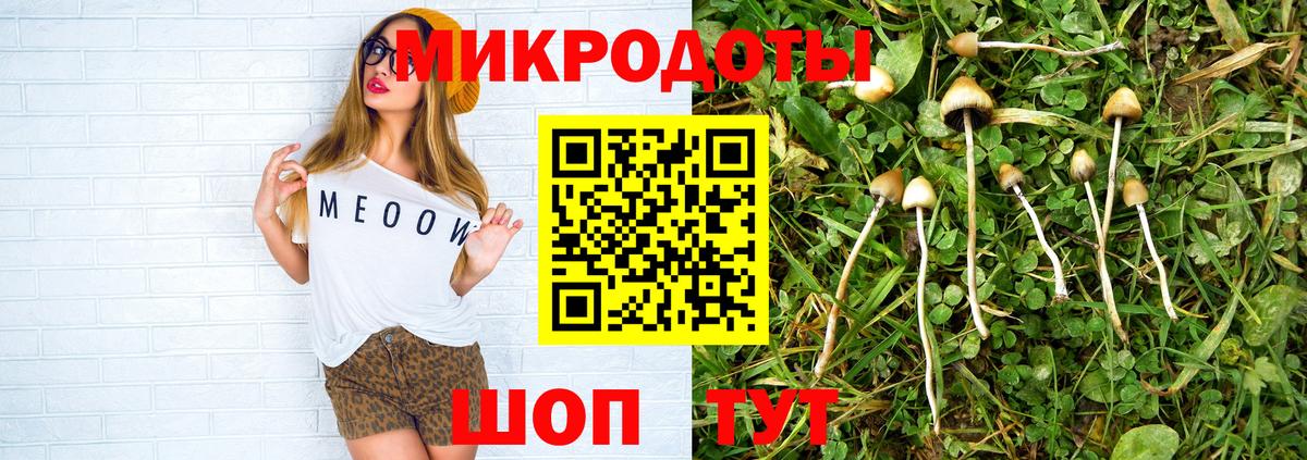 Галлюциногенные грибы Psilocybe Назарово