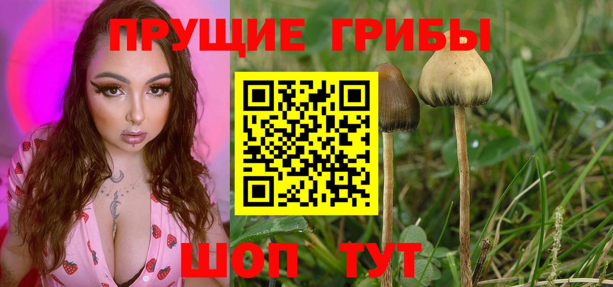 цены наркотик  Вход с VPN  Назарово  Галлюциногенные грибы ЛСД 